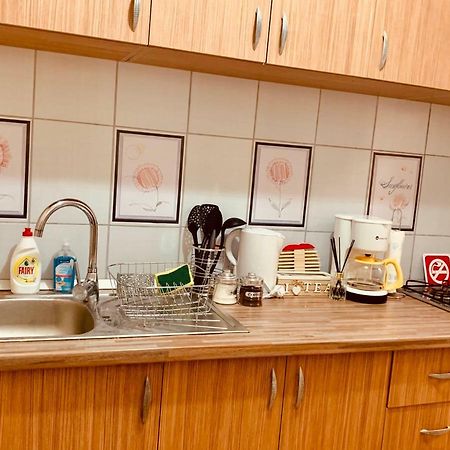 טימישוארה Ultracentral Apartment With All You Need: Wifi, Tv, Ac, Washer, Coffe מראה חיצוני תמונה