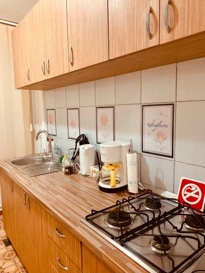 טימישוארה Ultracentral Apartment With All You Need: Wifi, Tv, Ac, Washer, Coffe מראה חיצוני תמונה