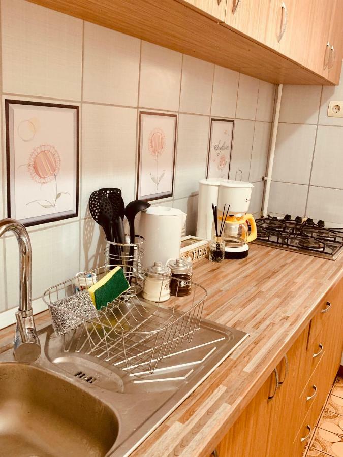 טימישוארה Ultracentral Apartment With All You Need: Wifi, Tv, Ac, Washer, Coffe מראה חיצוני תמונה