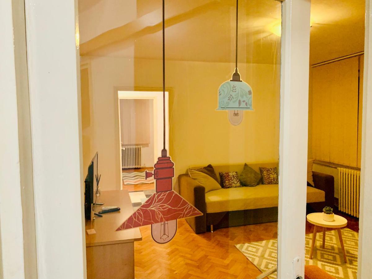 טימישוארה Ultracentral Apartment With All You Need: Wifi, Tv, Ac, Washer, Coffe מראה חיצוני תמונה