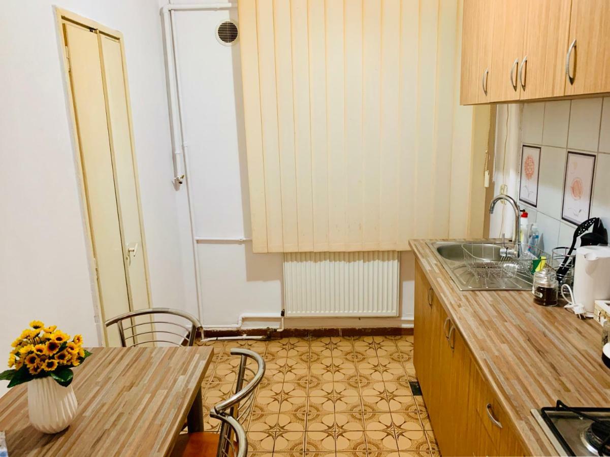טימישוארה Ultracentral Apartment With All You Need: Wifi, Tv, Ac, Washer, Coffe מראה חיצוני תמונה