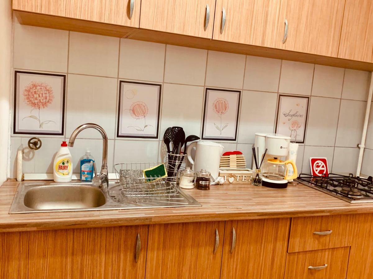 טימישוארה Ultracentral Apartment With All You Need: Wifi, Tv, Ac, Washer, Coffe מראה חיצוני תמונה
