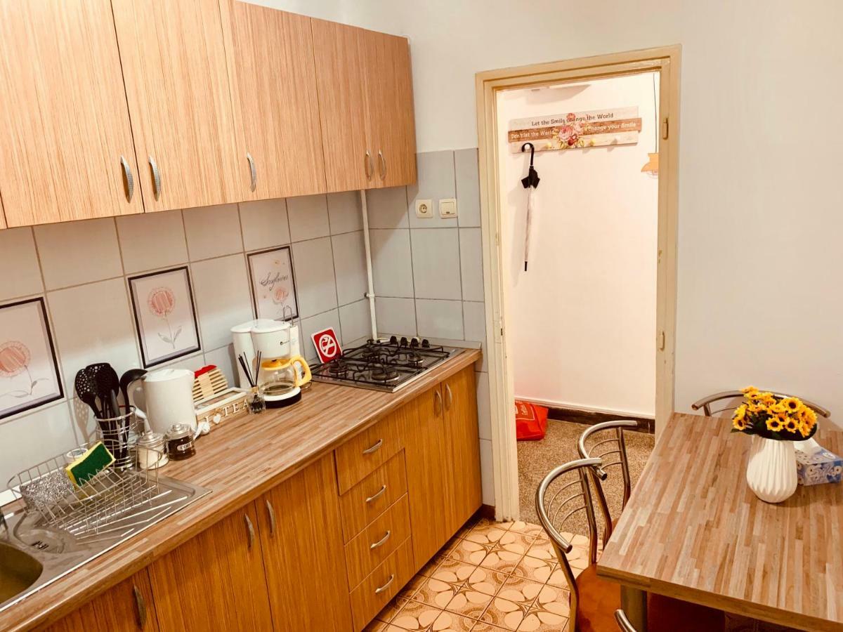 טימישוארה Ultracentral Apartment With All You Need: Wifi, Tv, Ac, Washer, Coffe מראה חיצוני תמונה